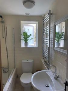 比迪福德Lotte’s Cottage的一间带卫生间和水槽的浴室以及两个窗户。