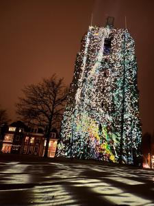 吕伐登Hus的大楼前的大圣诞树