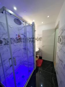 圣雷莫Piazza Colombo-Apartments的带淋浴的浴室和玻璃门