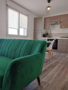 布雷斯特Calme et charmant T1 bis的一间带绿色沙发的客厅和一间厨房