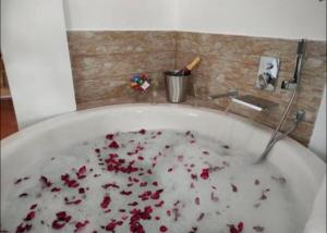 贝纳马奥马Suite Rural Oasis的浴室内装满红色鲜花的浴缸