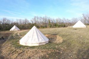 蒙塔尼亚克Camping Arbre de Vie的田野里三个帐篷的一组