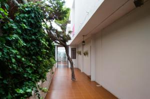 埃斯普霍斯阿莱曼尼亚旅馆的建筑中间有树的走廊