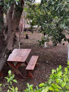 斯派赛斯Two Olive Trees的木桌和长凳,旁边是树