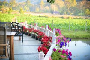 范县哥亚之家旅馆的池塘旁一排长椅,花