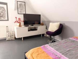 卢布尔雅那Holiday Home Livada的一间卧室配有一张床、一台电视和一把椅子