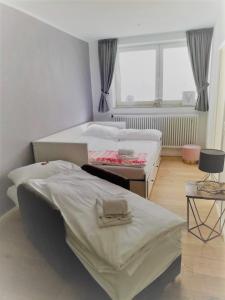 施卢赫湖Loft am Schluchsee的一间卧室设有两张单人床和一个窗户。