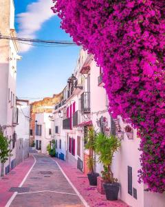 马贝拉Suite Vitbanus的波塞塔诺的一条街道,在建筑上布满粉红色花卉