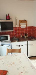 圣皮耶尔德沙尔特勒斯Joli Studio Chamechaude的厨房配有带微波炉和水槽的台面