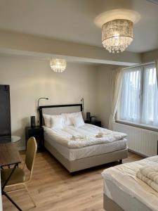 谢米亚蒂切Zajazd Arkadia的一间卧室配有一张大床和一个吊灯。