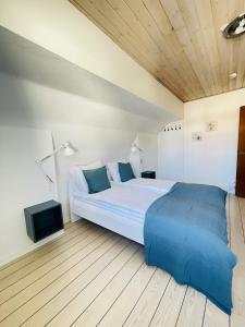 腓特烈港aday - Frederikshavn City Center - Room 5的一间卧室配有一张带蓝色枕头的大床