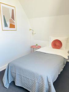 腓特烈港aday - Frederikshavn City Center - Single room的一间卧室配有一张带红色枕头的大床