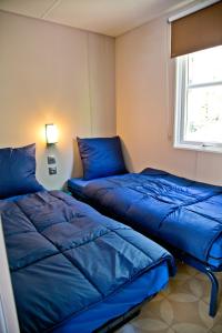 GoebelsmuhleChalet Fuusslee的带窗户的客房内的2张蓝色的床