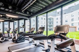布拉迪斯拉发布拉迪斯拉发多瑙河丽柏酒店的健身房里一排有氧运动器材,设有大窗户