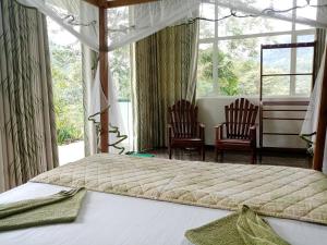 代尼耶耶Evergreen Villa - Sinharaja的一间卧室配有一张大床和两把椅子