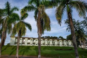 塞拉内格拉Hotel Fazenda Vale da Cachoeira的一座棕榈树建筑