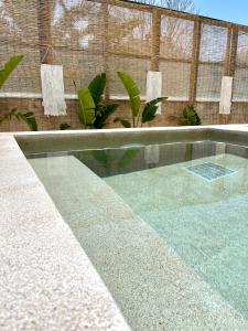 法里拉基Atma Beach Rooms & Suites的后院的游泳池,种植了绿色植物