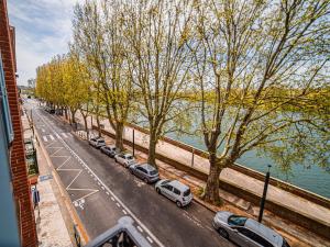 图卢兹404 · Wonder Appart - Vue Garonne -的停在河边的街道上的一排汽车