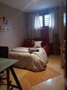 比利亚维西奥萨-德奥东patricia的一间卧室设有一张床和一个窗口