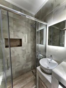 克桑西COZY DOWNTOWN APARTMENT的浴室配有白色水槽和淋浴。
