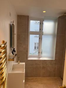 哥本哈根Luxury new apartment - Heart of Copenhagen的带淋浴、水槽和窗户的浴室