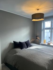 哥本哈根Luxury new apartment - Heart of Copenhagen的一间卧室设有一张大床和一个窗户。