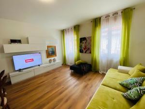 加尔达湖滨Mutti Stay apartments的带沙发和平面电视的客厅