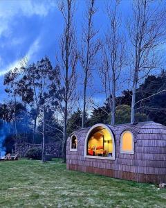 纽卡斯尔Enniskeen Estate & Forest Spa - Boutique Riverside Glamping Cabins的田间中的小房子