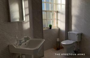 Leadhills霍普顿阿姆斯酒店的一间带水槽和卫生间的浴室以及窗户。