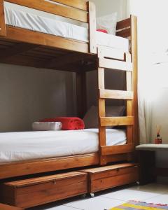 乌贝兰迪亚UDIHOSTEL HOSPEDAGEN的一间卧室配有带梯子的双层床