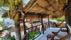 奥尔沃克斯岛Casa Sofia Holbox的阳台的棕榈树和椅子