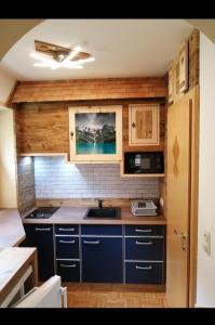 莱奥冈加斯纳公寓的一间小厨房,内配蓝色橱柜和水槽