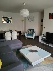 里昂Appartement privée Lyon 3的客厅配有沙发和桌子