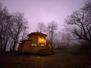 CazarilhLes Cabanes De Pyrene的森林中的一个夜间小屋