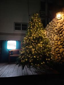 首尔Batwo Stay - For foreigners only的建筑物前有灯的圣诞树