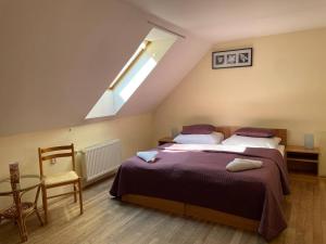布拉格斯塔利皮沃瓦尔酒店的一间卧室设有一张大床和天窗