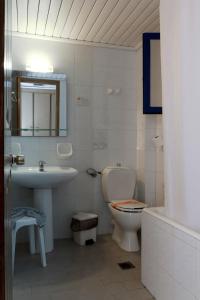 普希里阿莫斯Saint Nicholas Hotel的浴室配有盥洗池、卫生间和镜子。