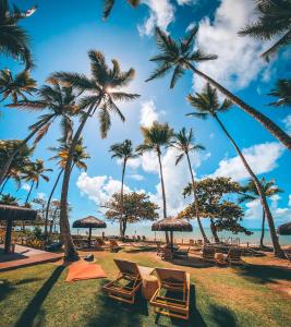 普拉亚埃斯佩洛Maion Hotel e Boutique的海滩上设有椅子和遮阳伞,棕榈树