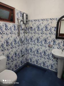 纳奥亚GREENISH INN (ROOMS)的一间带卫生间和水槽的浴室