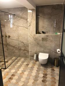 Umm el Shufלאורה的带淋浴和卫生间的浴室。