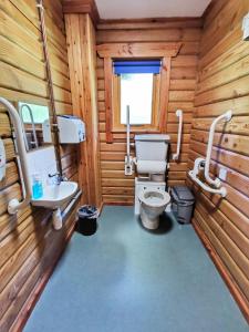 布罗迪克Shore Lodge的一间带卫生间和水槽的浴室