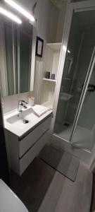 普卢巴拉内克洛奈瑞莱斯酒店的白色的浴室设有水槽和淋浴。