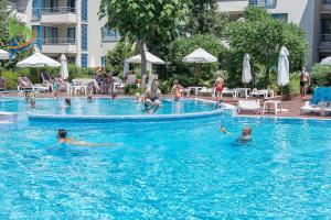阳光海滩Private apartments Aparthotel Excelsior的一群人在游泳池游泳