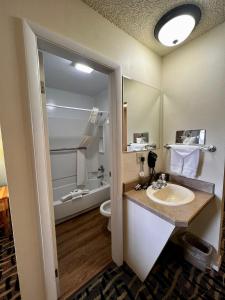 科迪科迪利根思套房旅馆 的一间带水槽和卫生间的浴室