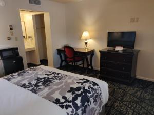 科迪Skyline Motor Inn的酒店客房配有一张床、一张书桌和一台电视。