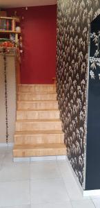 菲雅克les Box的一道红色墙壁的楼梯