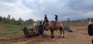 NurotaKyzylkum Nights Camp & Family Yurt的一群人骑着骆驼在土路上