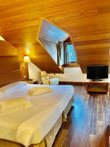 利亚沃尔西Hotel Riberies & SPA的酒店客房设有一张大床和一台电视机。