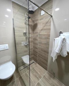 大格拉迪什泰Vivko Apartments的一间带卫生间和玻璃淋浴间的浴室