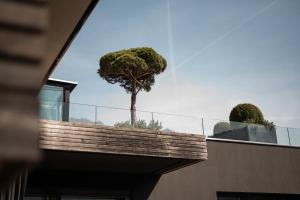 拉布拉蒂罗尔设计酒店的树坐在建筑物顶部